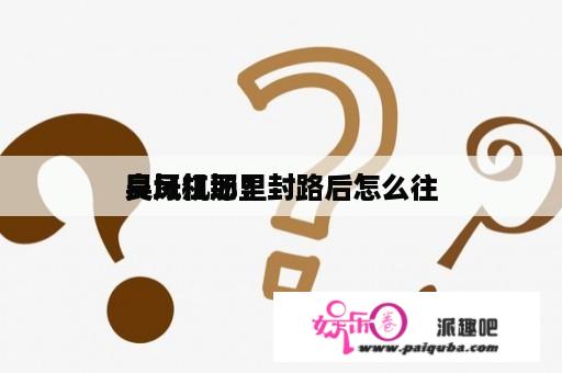 良凤江那里封路后怎么往
吴圩机场？