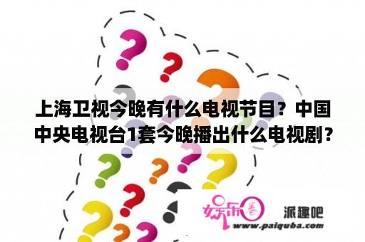 上海卫视今晚有什么电视节目？中国中央电视台1套今晚播出什么电视剧？