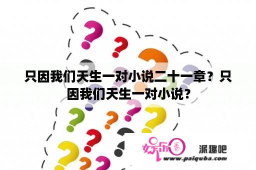 只因我们天生一对小说二十一章？只因我们天生一对小说？