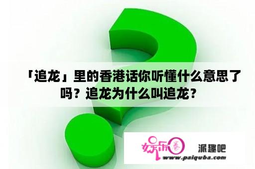 「追龙」里的香港话你听懂什么意思了吗？追龙为什么叫追龙？