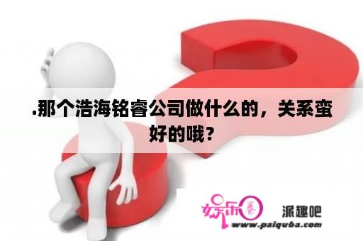 .那个浩海铭睿公司做什么的，关系蛮好的哦？