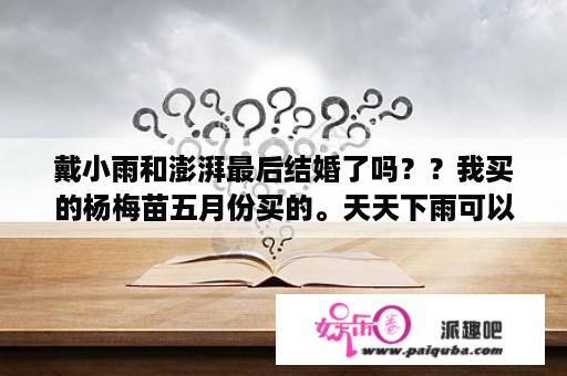 戴小雨和澎湃最后结婚了吗？？我买的杨梅苗五月份买的。天天下雨可以种下去吗？