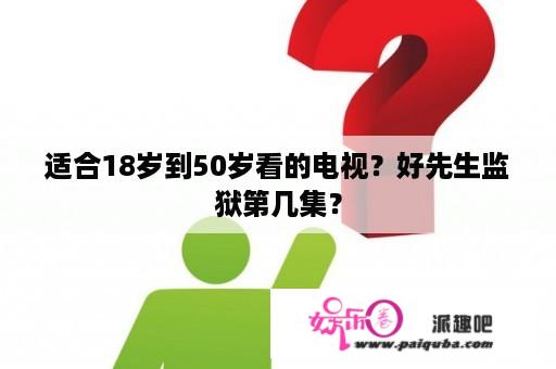 适合18岁到50岁看的电视？好先生监狱第几集？