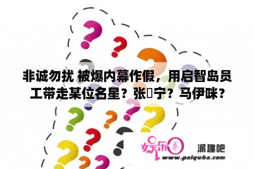 非诚勿扰 被爆内幕作假，用启智岛员工带走某位名星？张奀宁？马伊咪？