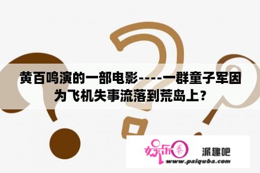 黄百鸣演的一部电影----一群童子军因为飞机失事流落到荒岛上？