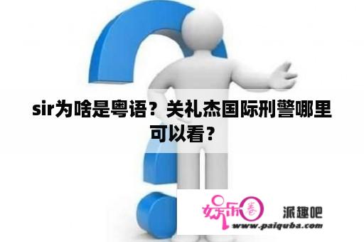 sir为啥是粤语？关礼杰国际刑警哪里可以看？