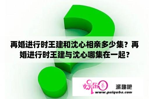 再婚进行时王建和沈心相亲多少集？再婚进行时王建与沈心哪集在一起？