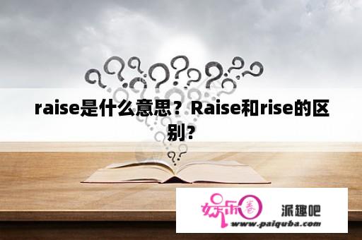 raise是什么意思？Raise和rise的区别？