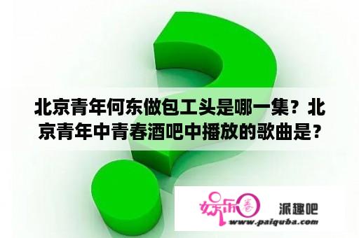 北京青年何东做包工头是哪一集？北京青年中青春酒吧中播放的歌曲是？