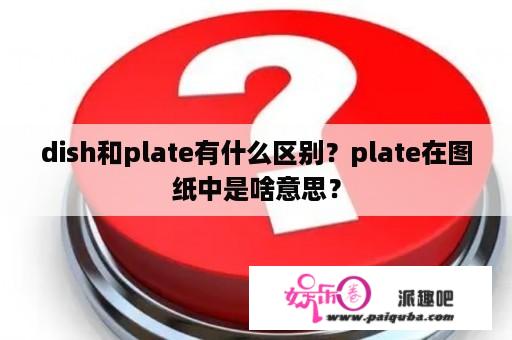 dish和plate有什么区别？plate在图纸中是啥意思？