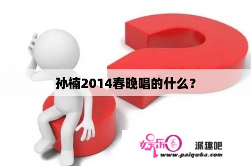 孙楠2014春晚唱的什么？