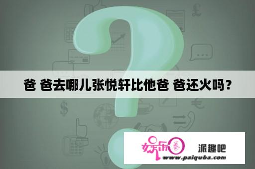 爸 爸去哪儿张悦轩比他爸 爸还火吗？