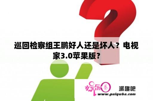 巡回检察组王鹏好人还是坏人？电视家3.0苹果版？