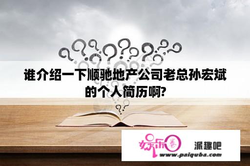 谁介绍一下顺驰地产公司老总孙宏斌的个人简历啊?