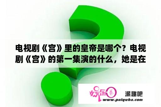 电视剧《宫》里的皇帝是哪个？电视剧《宫》的第一集演的什么，她是在什么情况下穿越的？