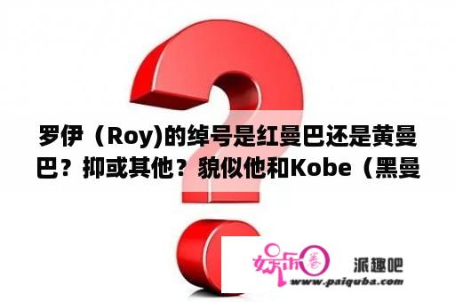 罗伊（Roy)的绰号是红曼巴还是黄曼巴？抑或其他？貌似他和Kobe（黑曼巴）有得一拼！