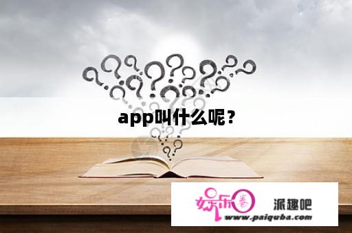 app叫什么呢？