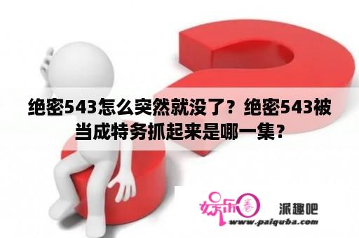 绝密543怎么突然就没了？绝密543被当成特务抓起来是哪一集？