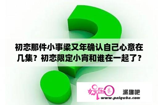 初恋那件小事梁又年确认自己心意在几集？初恋限定小宵和谁在一起了？