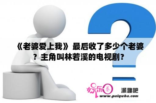 《老婆爱上我》 最后收了多少个老婆？主角叫林若溪的电视剧？