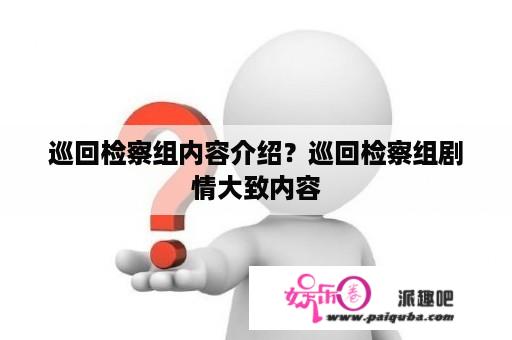 巡回检察组内容介绍？巡回检察组剧情大致内容