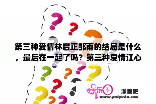 第三种爱情林启正邹雨的结局是什么，最后在一起了吗？第三种爱情江心瑶结局？