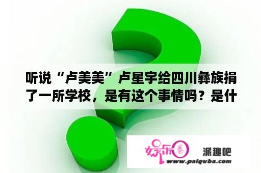 听说“卢美美”卢星宇给四川彝族捐了一所学校，是有这个事情吗？是什么时候捐的呀？捐了多少钱呀？