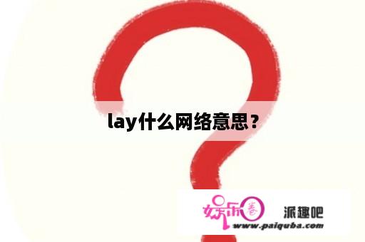 lay什么网络意思？