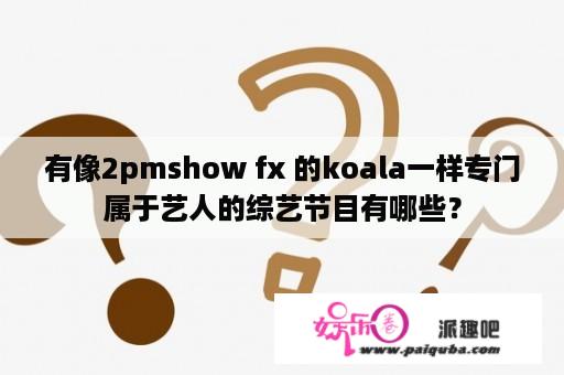 有像2pmshow fx 的koala一样专门属于艺人的综艺节目有哪些？