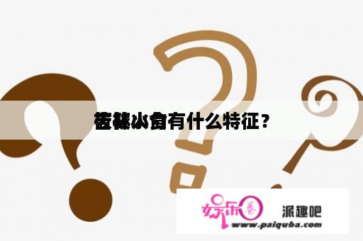 吉林小食
筱筱火勺有什么特征？