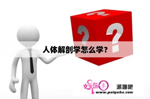 人体解剖学怎么学？