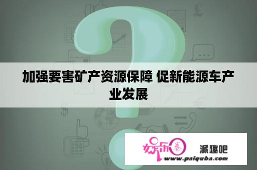 加强要害矿产资源保障 促新能源车产业发展