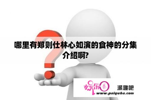 哪里有郑则仕林心如演的食神的分集介绍啊?