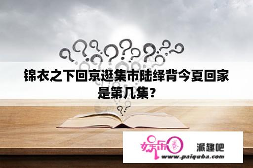 锦衣之下回京逛集市陆绎背今夏回家是第几集？