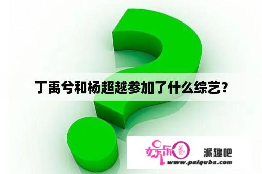 丁禹兮和杨超越参加了什么综艺？