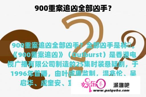 900重案追凶全部凶手？