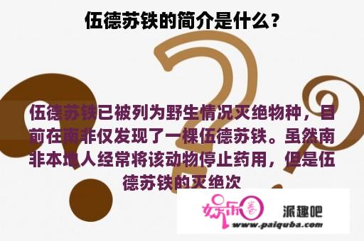 伍德苏铁的简介是什么？