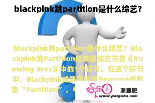 blackpink跳partition是什么综艺？