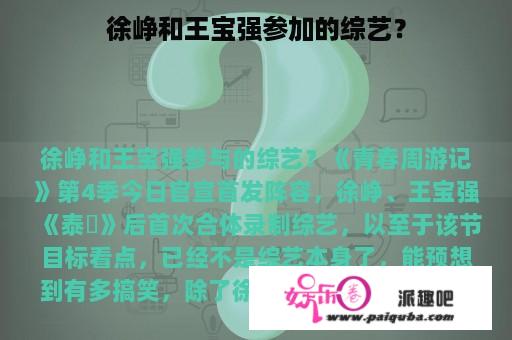 徐峥和王宝强参加的综艺？