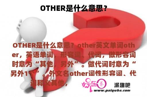 OTHER是什么意思？