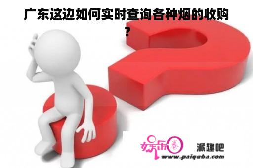 广东这边如何实时查询各种烟的收购？