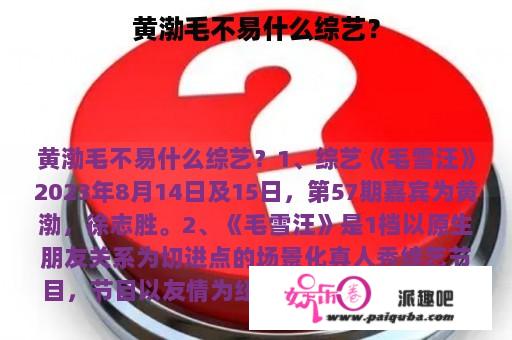 黄渤毛不易什么综艺？