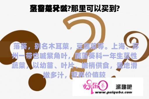 皇宫菜又喊
落葵是什么?那里可以买到?