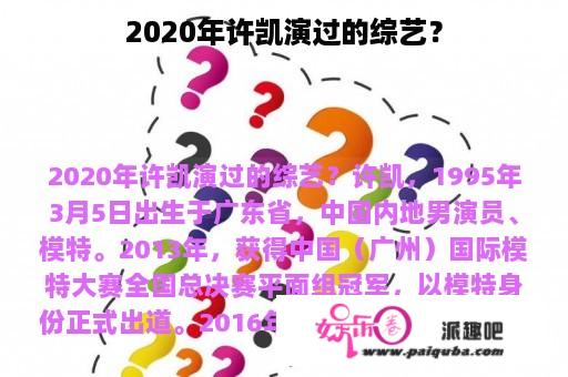 2020年许凯演过的综艺？