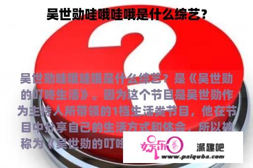 吴世勋哇哦哇哦是什么综艺？