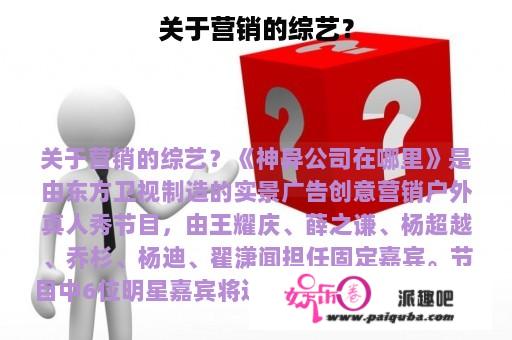 关于营销的综艺？