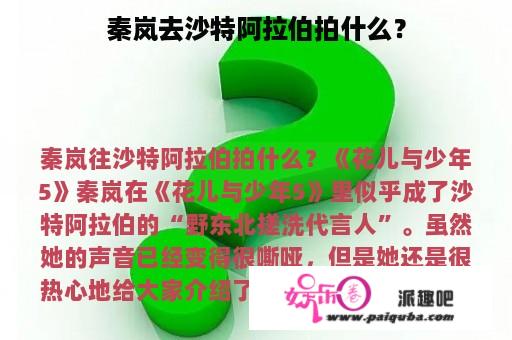 秦岚去沙特阿拉伯拍什么？