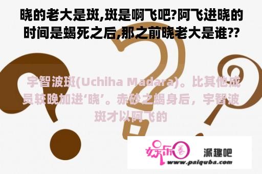 晓的老大是斑,斑是啊飞吧?阿飞进晓的时间是蝎死之后,那之前晓老大是谁??搞不清