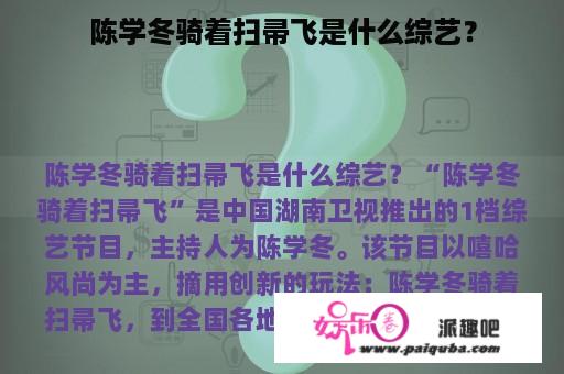 陈学冬骑着扫帚飞是什么综艺？