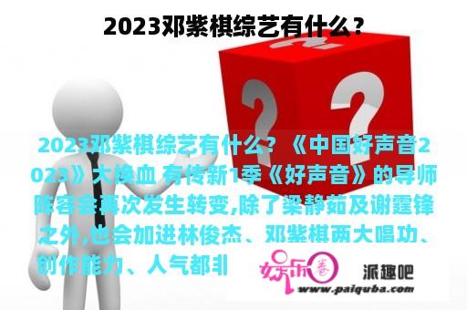 2023邓紫棋综艺有什么？